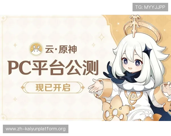 开云网娱乐app安全性分析，保障用户个人信息与游戏资产的全面安全措施